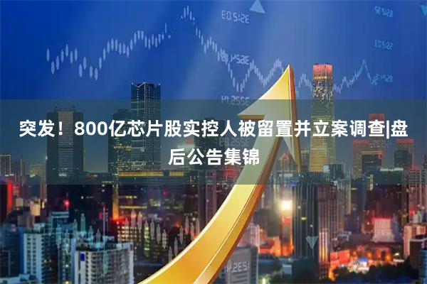 突发！800亿芯片股实控人被留置并立案调查|盘后公告集锦