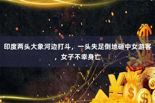 印度两头大象河边打斗，一头失足倒地砸中女游客，女子不幸身亡
