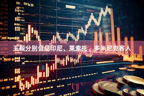 王毅分别会见印尼、莱索托、多米尼克客人